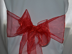 Organza Wedding Sashes